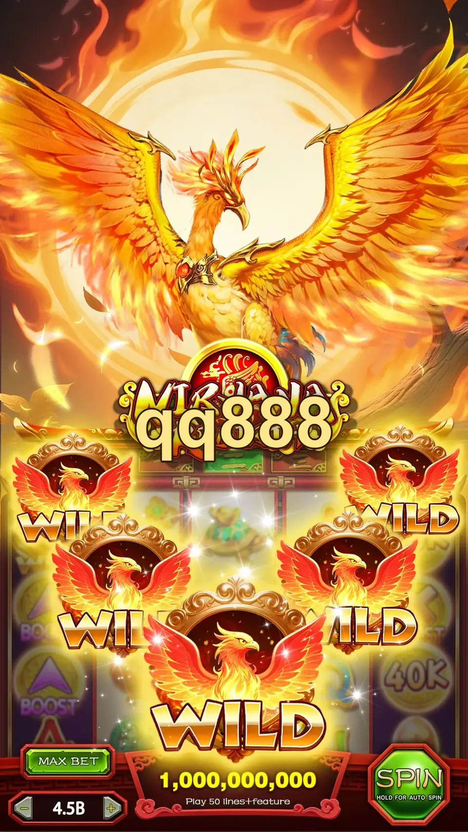 qq888 Login